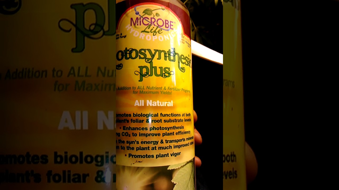 Microbe life hydroponics part 3