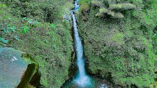 Heaven’s Quiet River Beneath the Stars – Peaceful Stream Ambience to Calm the Mind and Soul