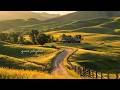 a quiet playlist for the long way home 🌾(calm piano for reading, studying & relaxing)