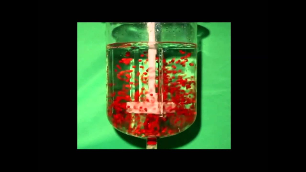 IPOS and Asynt baffled vessel at 400rpm YouTube