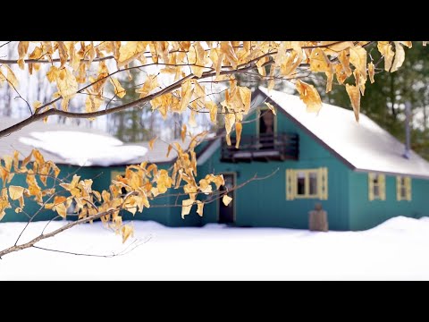 7453 E. Opal Lake Rd, Gaylord, MI home video tour