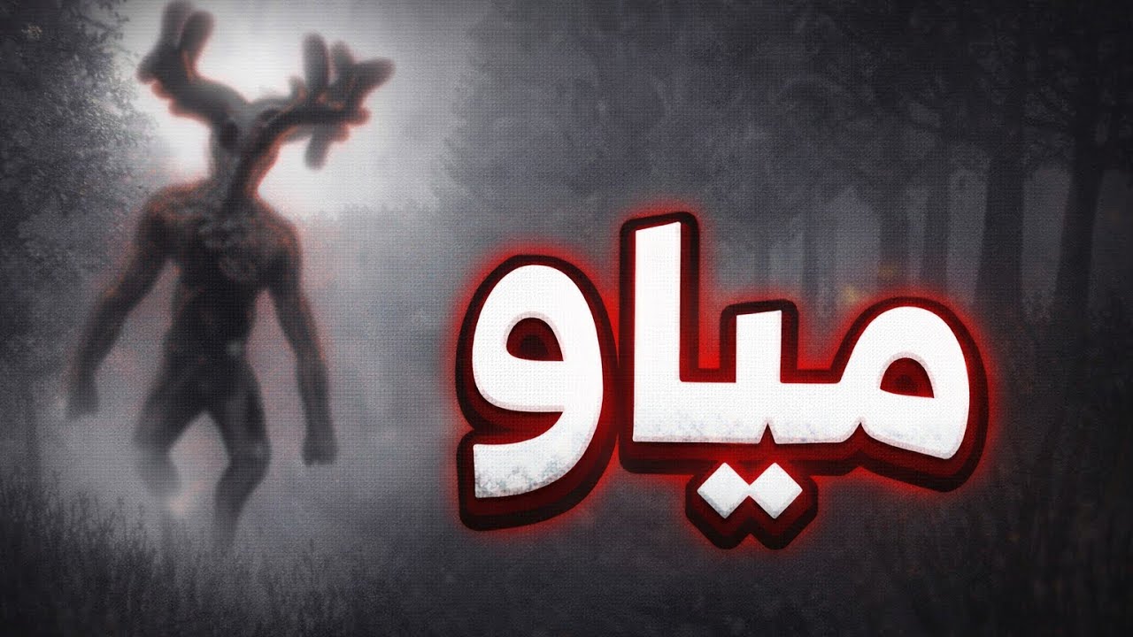 قطة في نص الغابة😨