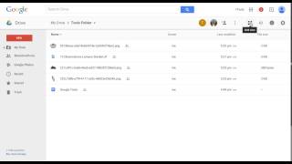 Change the Drive File/Folder View