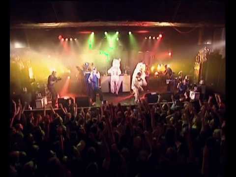 Beginner - Gustav Gans (live in der großen Freiheit)