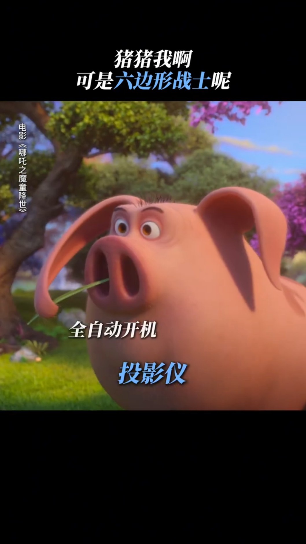 谁不想要一只万能的飞天猪猪呢？Who wouldn't want a magical flying