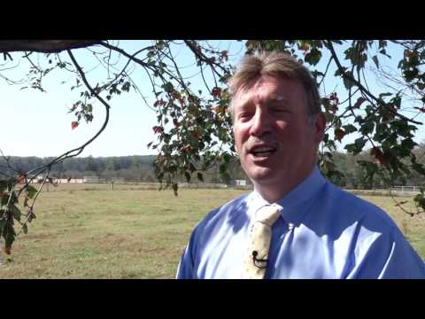 FSA Livestock Programs