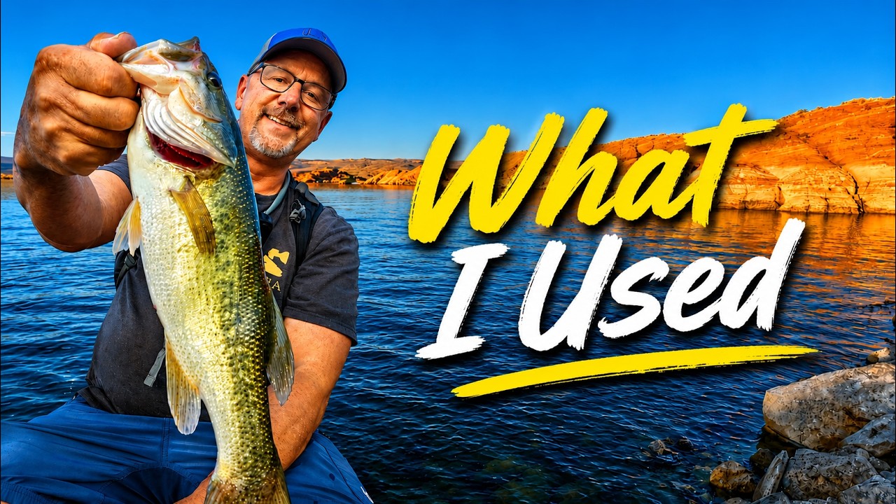 How to Catch Bass WITHOUT a Boat