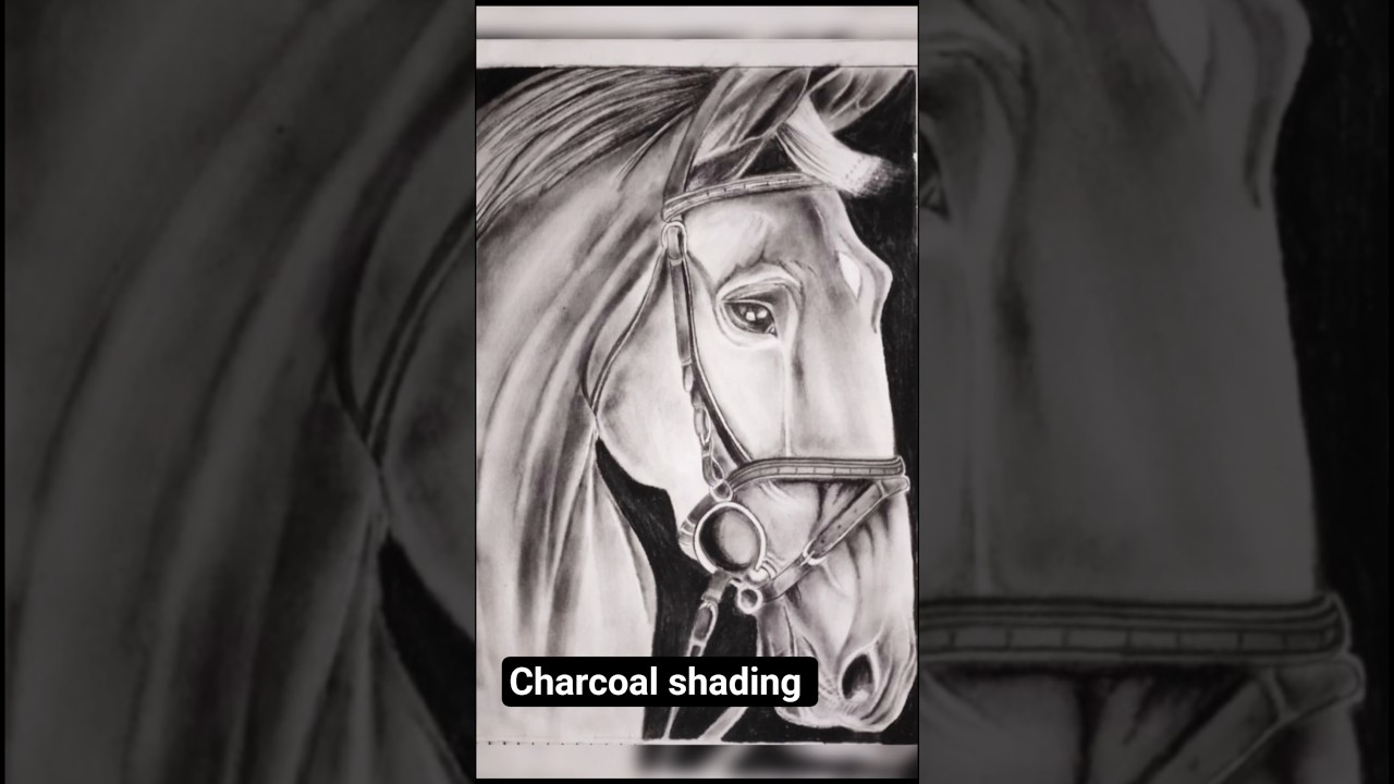 charcoal shading @the artist shilu Saini