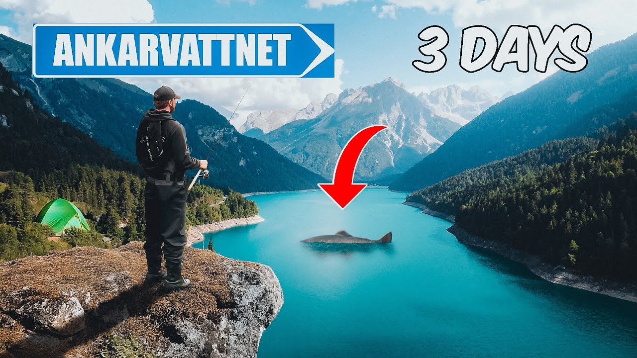 Utforskar fisket i Ankarvattnet - Fjällfiske efter röding och öring