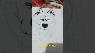 #رسم هاسكي