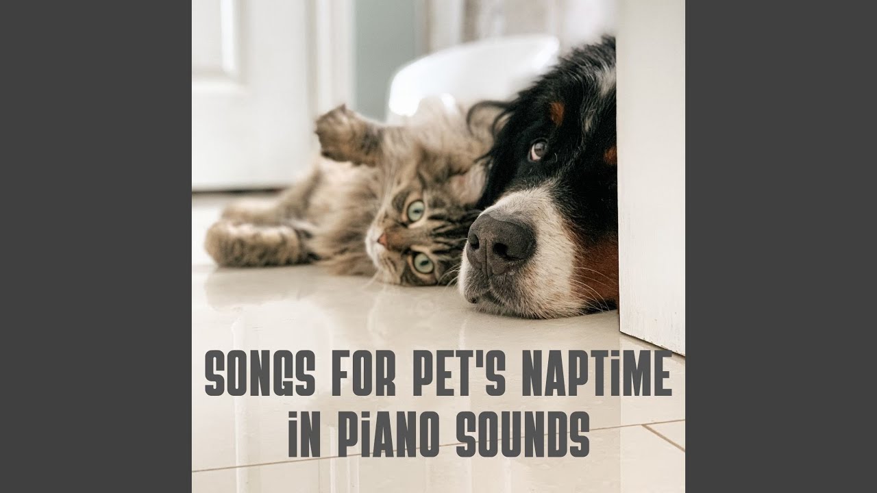 Peaceful Paws Piano Piece