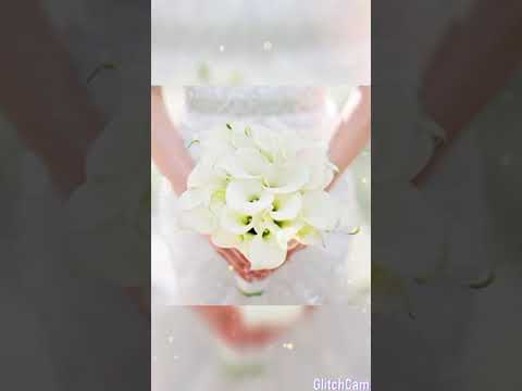 most popular ringtone, iphone ringtone remix, iphone original ringtone, apple ringtone mp3 download,