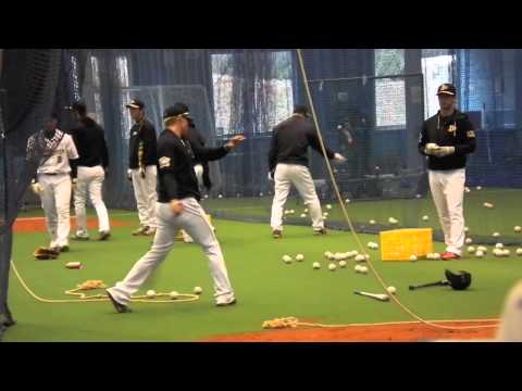糸井嘉男 ワンバウンドティーバッティング 2015 オリックス・バファローズ 宮崎キャンプ