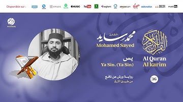 Mohamed Sayed - Surat Ya Sin - سورة يس | تلاوة بصوت القارئ محمد سايد | برواية ورش عن نافع
