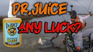 Dr juice Saltwater fish scent does it work? Salt strong Power Prawn try out