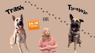 My Honest Thoughts on Temu Dog Gear…