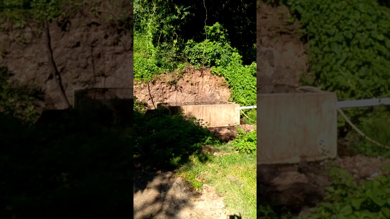 Mazo wargaon - Brahman Dev Mandir 2019 #devi #kalamba Devi #wargaon #mandir #temple #holy places