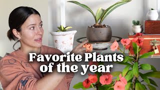 Best plants of the year! I think you'll like them too. Favorite Houseplants List 2023