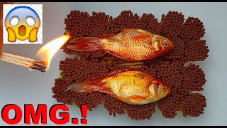 Gold-Fish Fry OMG | Using 1000+ Match Sticks | Fish vs Matchsticks | Stupid Scientist screenshot 4