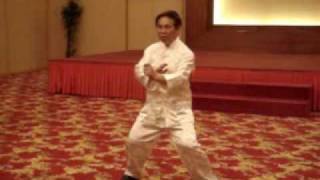 Wing Chun Siu Lin Tou -- Hard and Soft Internal Force 4 screenshot 3