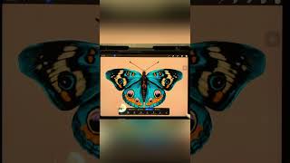 How to create animation of butterflies by procreate