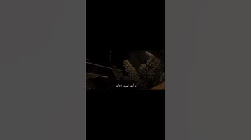 عبدالرحمن مسعد || تعلم نفس ما أخفي لهم من قرة أعين || سورة السجدة