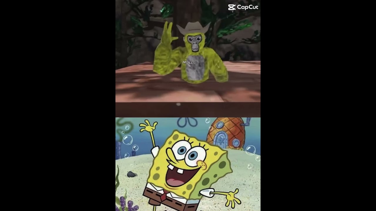 Old Apollo vs new Apollo