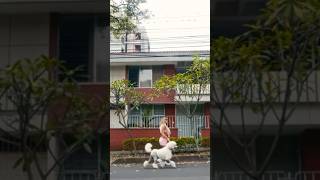 No te enfades que lo mejor está por venir La Father #reggaeton2026