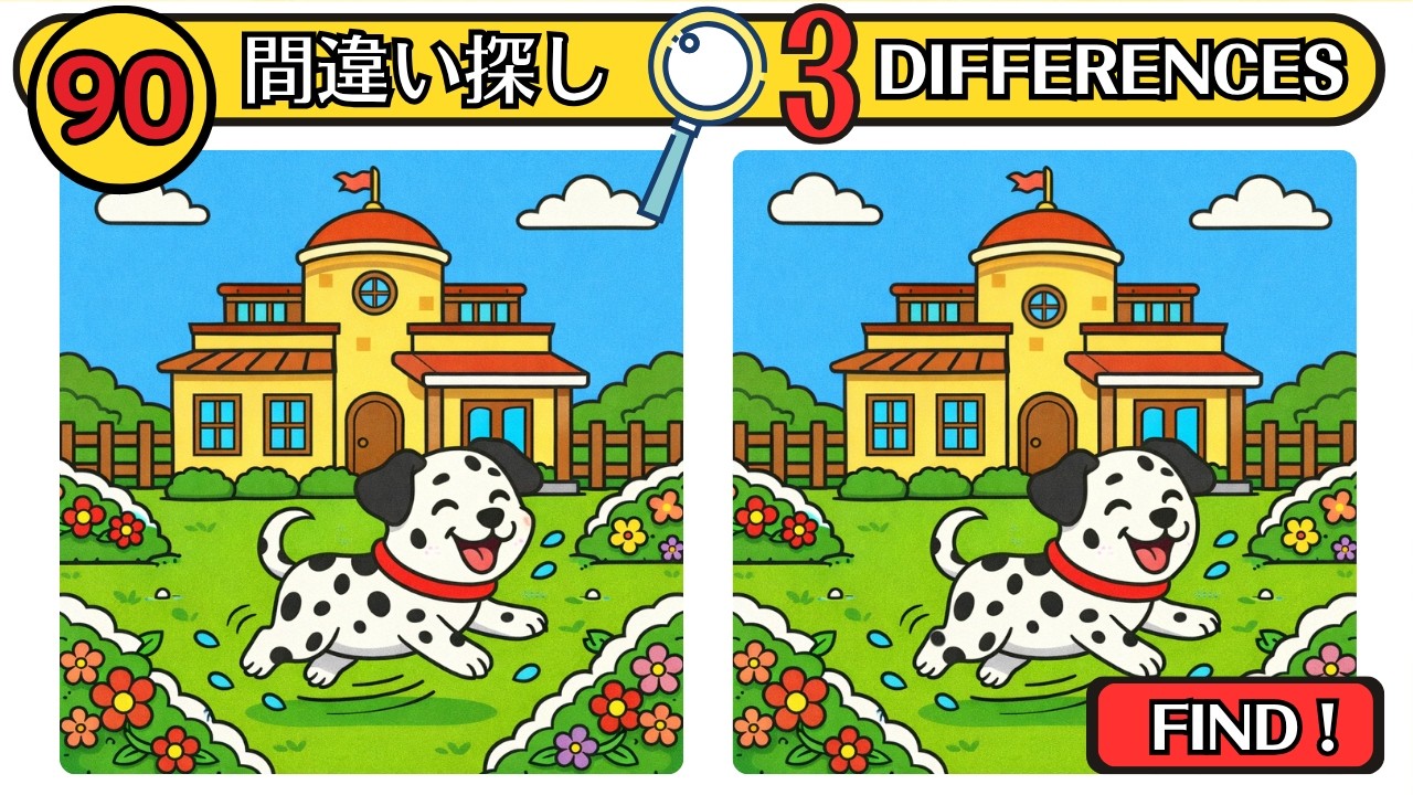 3 Differences × 90 Sec] Happy Puppy Running! Spot the Difference