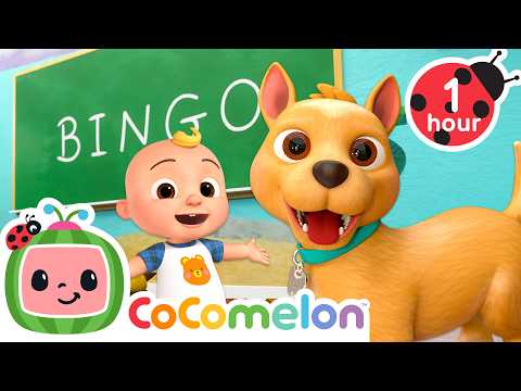 Bingo Goes to School! 🐶| CoComelon | Learning & Song Playground | Animal Nursery Rhymes