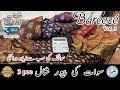 BAREEZE VOL 3 / SAWAATI PASHMINA PURE SHAWL / WEDDING COLLECTION/ SHAMIM ARTS