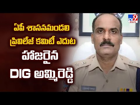 ఏపీ శాసనమండలి ప్రివిలేజ్ కమిటీ ఎదుట హాజరైన DIG అమ్మిరెడ్డి - TV9 - TV9