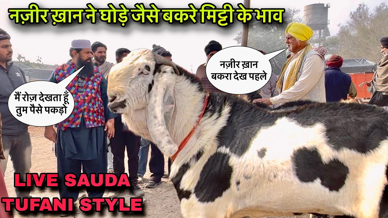 नज़ीर ख़ान ने घोड़े जैसे बकरे मिट्टी के भाव @farmingbaba Bakra Mandi Viral #live_sauda tufani style