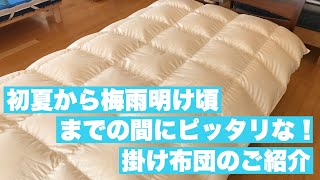 初夏から梅雨明け頃までの間にピッタリな掛け布団・羽毛合掛け編