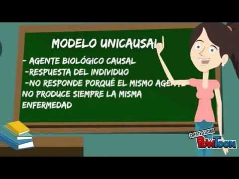 MODELO UNICAUSAL - YouTube