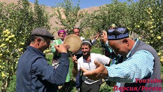 картинка: ТАДЖИКИСТАН/КЛАССНЫЙ ТАДЖИКСКИЙ ТАНЕЦ В СЕЛЕ ДАРГИ ШАРИФ/МИРЗОСАИД-РАХМИМ ПОНЯДА