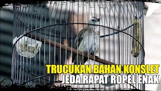Download lagu BAHAN KONSLET ROPEL JEDA RAPAT
