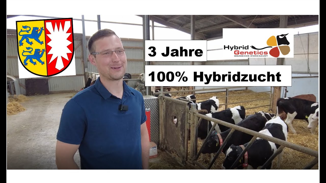 Landwirt in Schleswig-Holstein arbeitet seit drei Jahren mit Hybrid Genetics für seine Milchkühe