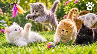 Tiny Kittens, Big Garden Adventure 🌿😻 Relaxing Cat Compilation screenshot 1