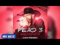 Luan Pereira - Peão 3 (Malvadão 3) (MRC Music)