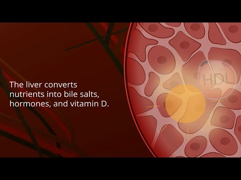 Nonalcoholic Fatty Liver Disease | Pathophysiology and Nursing Interventions