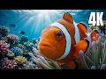 Arctic Ocean Sleep Music 4K 🐟 | Underwater Ambience for Insomnia and Relaxation 🌊,