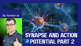 SYNAPSE and ACTION POTENTIAL Part 2