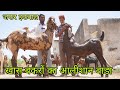 इस बाड़े में घुसते ही आदमी का दिमाग घूम जाता है | jaffar bhai ke eid wale | chouhan goat farm gegal