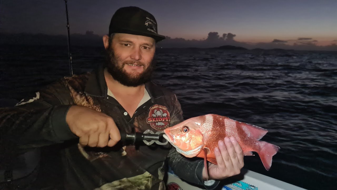 Overnight fishing Townsville. YouTube
