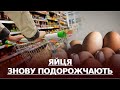 "Золоті" яйця. Продукти птахівництва знову дорожчають в Україні. Що кажуть фермери