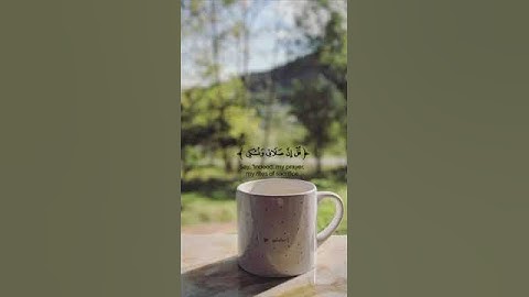 #سورة الأنعالم (قُلْ إِنَّنِي هَدَانِي رَبِّي إِلَىٰ صِرَاطٍ مُّسْتَقِيمٍ) #استغفرالله