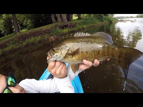 KAYAK FISHING with BUZZBAIT for BASS and PIKE! 