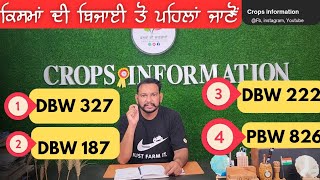 Famous ਕਣਕ ਦੀਆਂ ਟੌਪ 4 ਕਿਸਮਾਂ DBW 327, PBW 826, DBW 222, DBW 187 WHEAT VARIETIES DETAIL Wealth