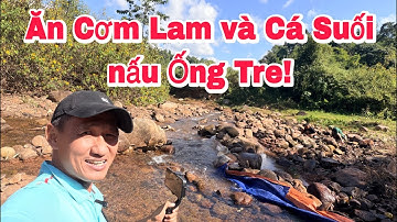 Ăn Cơm Lam và Cá Suối nấu Ông Tre!